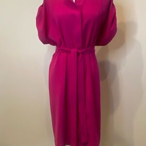 Ann Taylor Vibrant Pink Midi Dress